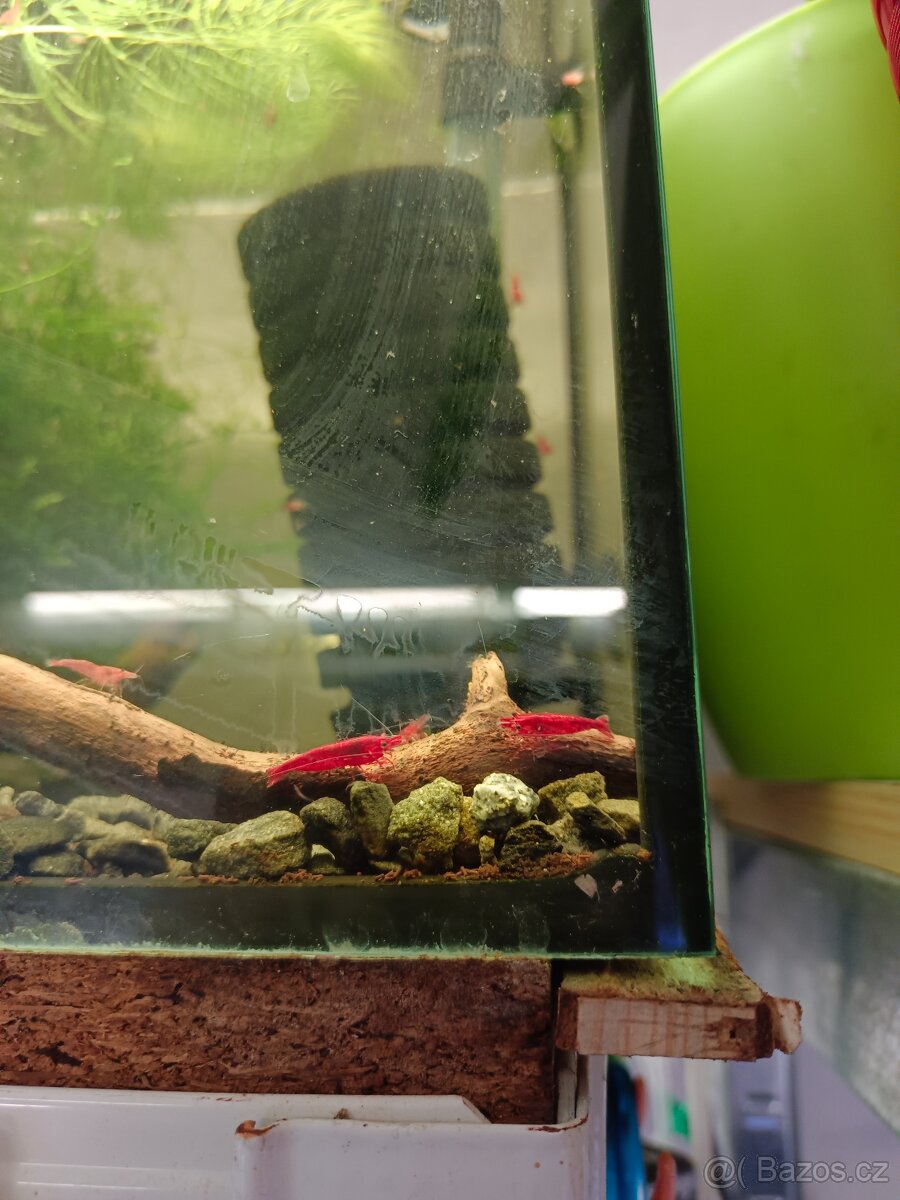 Prodej krevetek a doplňků - 12