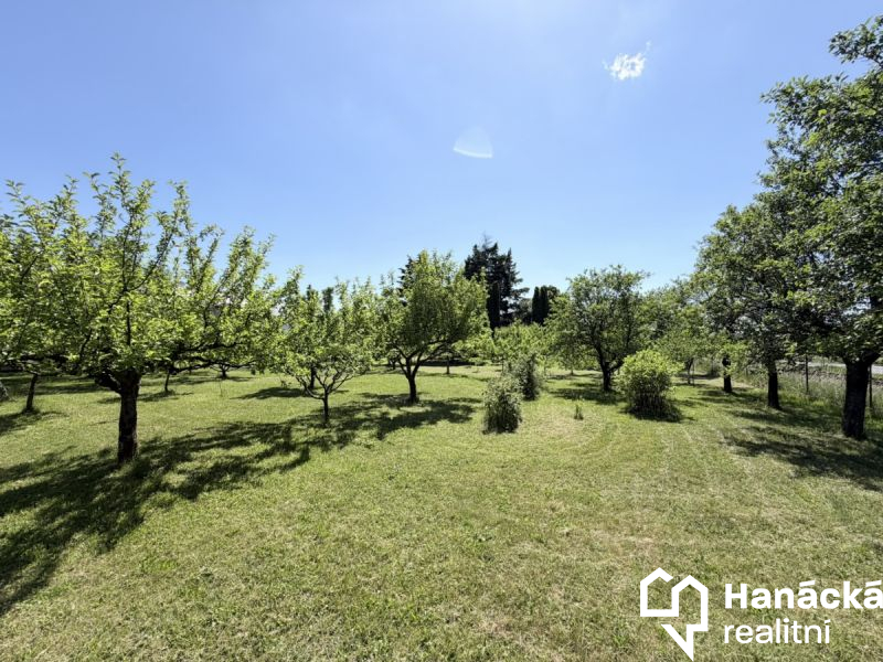 Prodej, Zahrada, 808m2, Jankovice - 12
