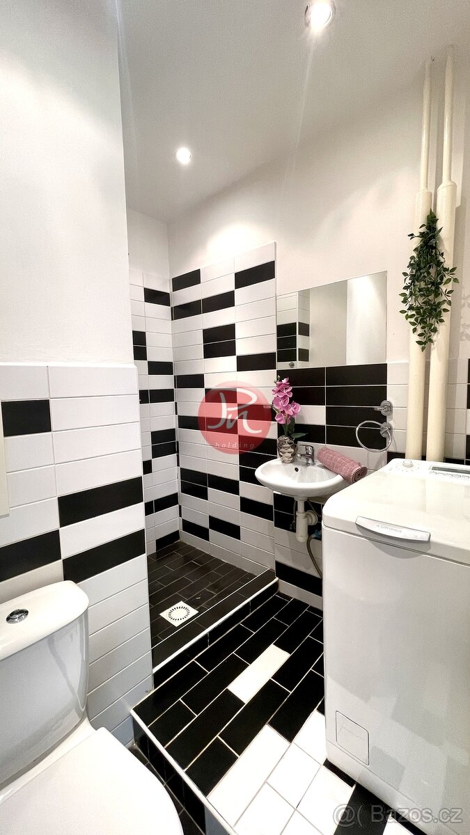 Dlouhodobý podnájem bytu 1+kk, zasklený balkón, Ostrava Poru - 12