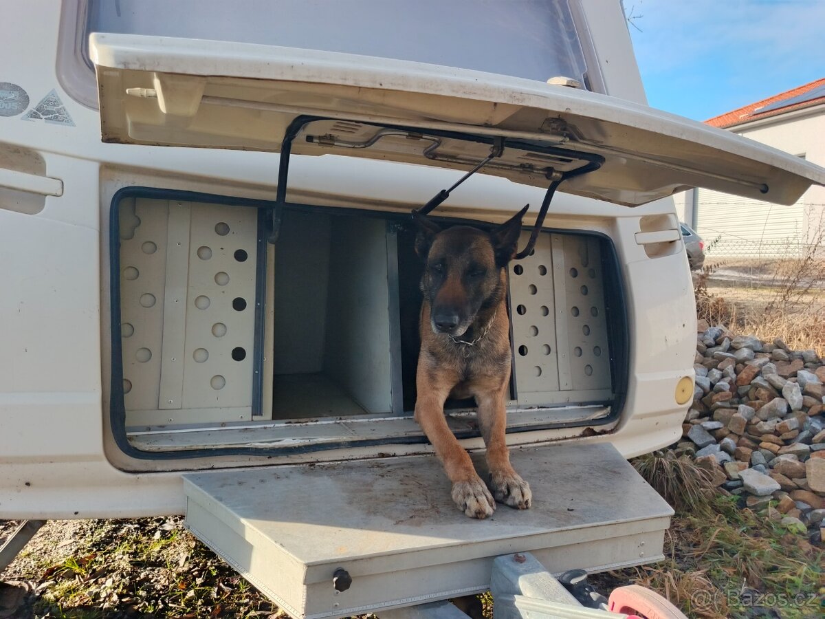Karavan s vestavbou pro dva psy - 12