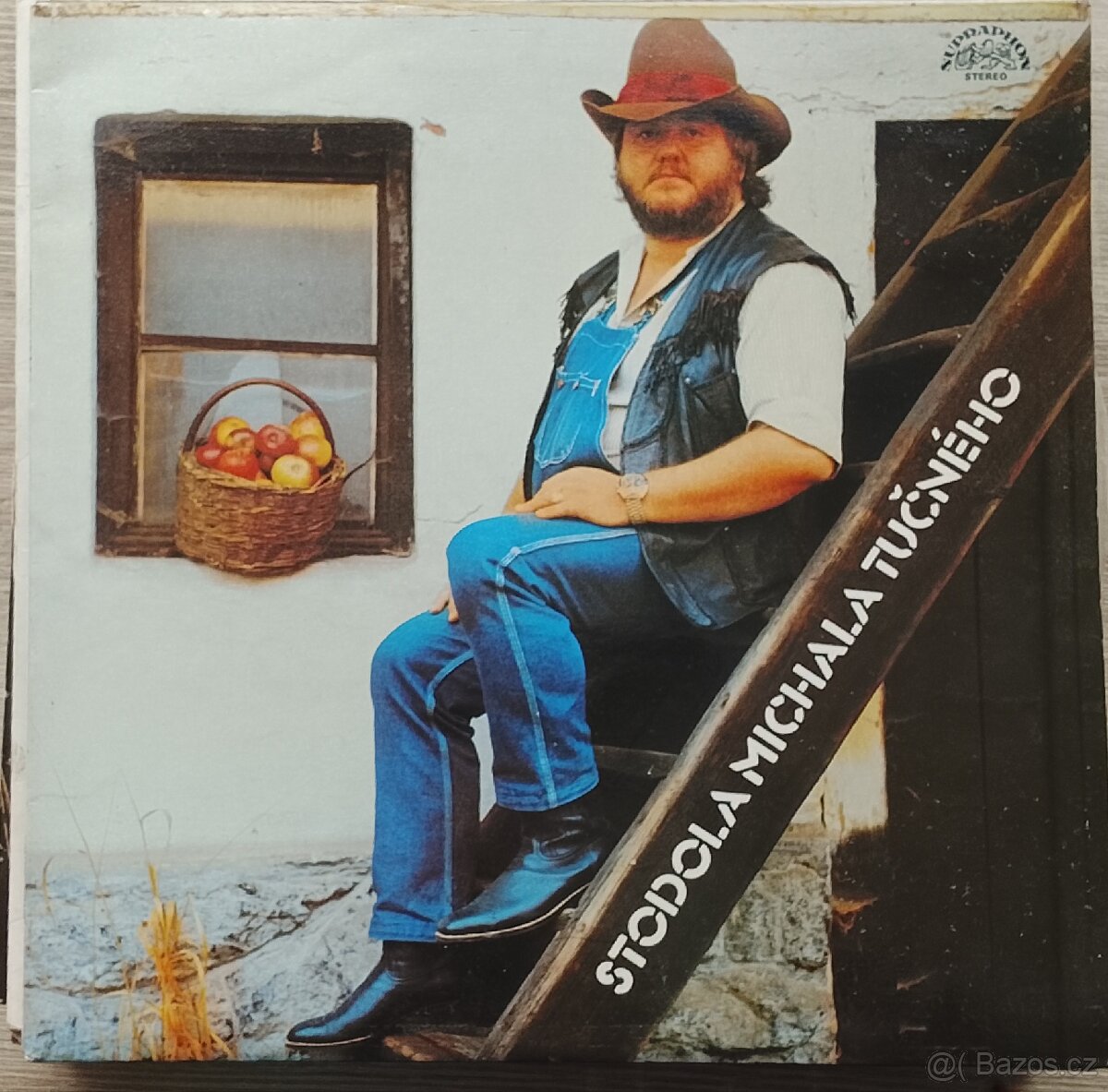 LP desky české - 12