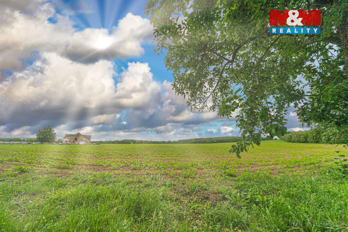 Prodej pozemku k bydlení, 2006 m², Suchdol - Solopysky - 12