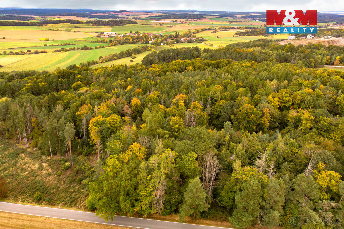 Prodej lesa, 39171 m², Ježovy - 12