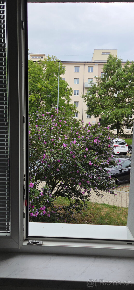Dlouhodobý pronájem bytu 1+kk, Praha 9 - 12