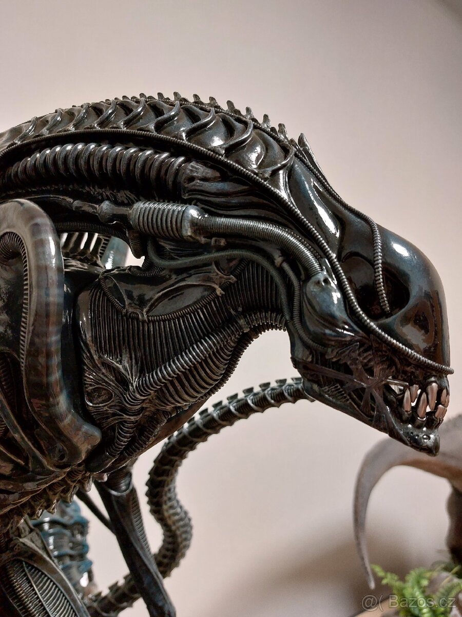 Alien Warrior Prime 1 Studio - 12