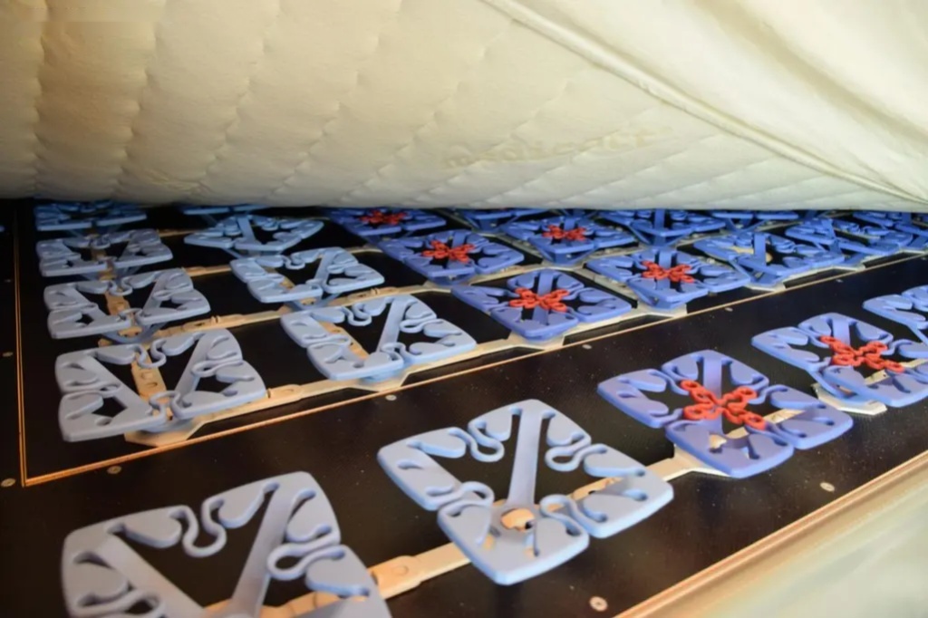 Ostatní, 3DOG - TrailDog - 12