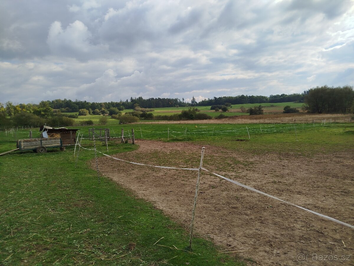 Pozemek - 12