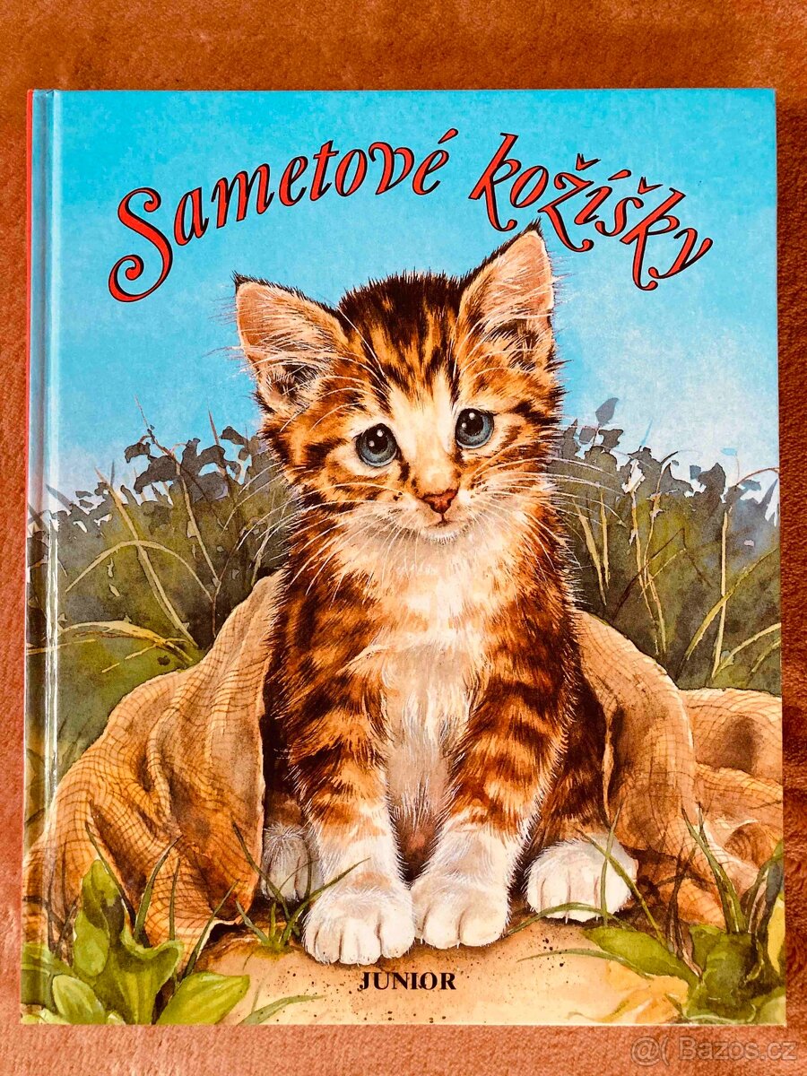 Knihy převážně pro děti a mládež - 12