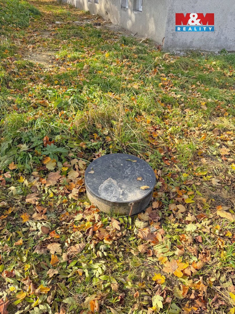 Prodej bytu 3+1, 69 m², Jistebnice - 12