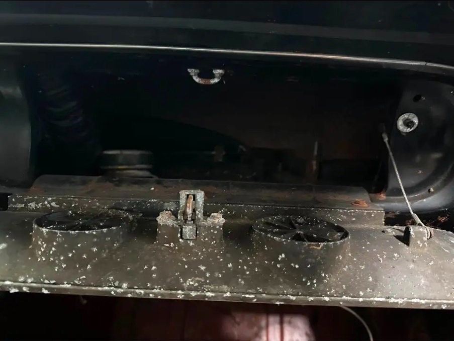 Ford Mustang Fastback - 12