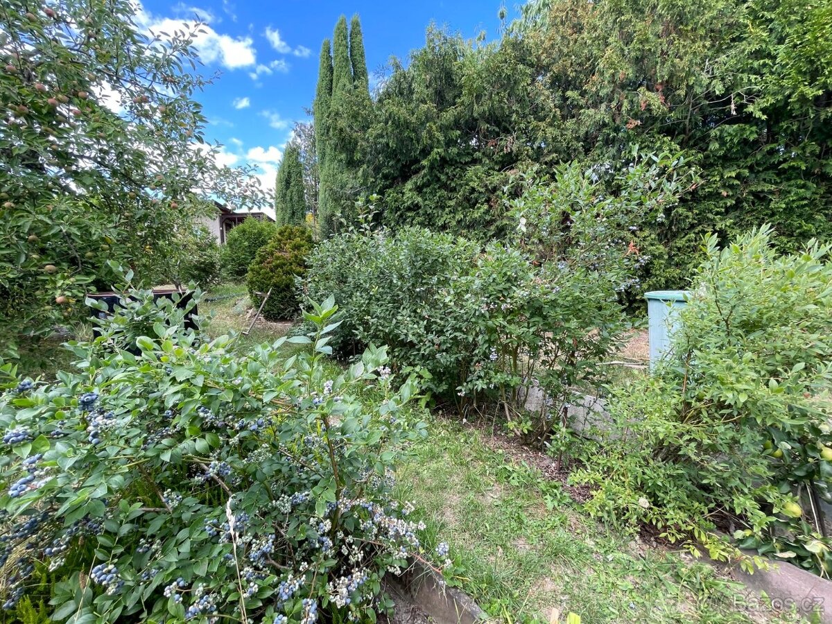 Zahrada ke stavbě chaty k rekreaci,700m2,Plzeň,Pod Švabinami - 12