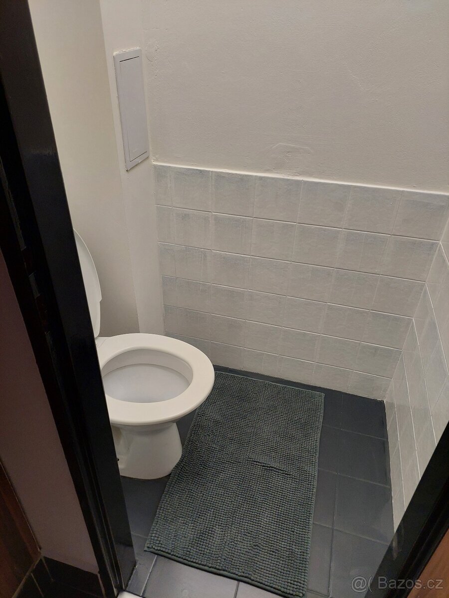 Byt 1+1 46m2 Jugoslávská Brno - 12