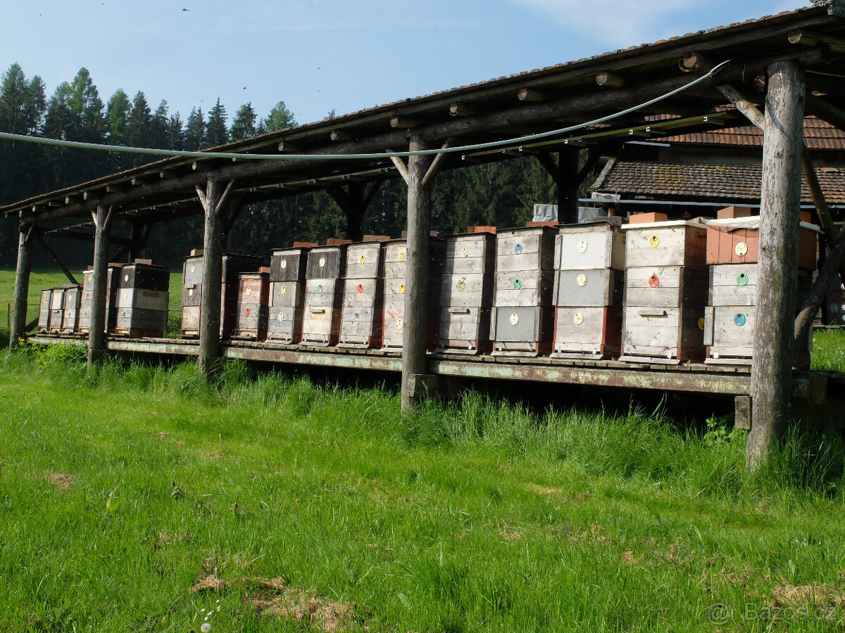 Maringotka na samotě - 12