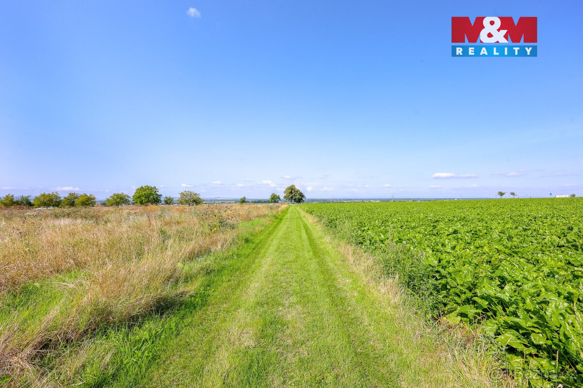 Prodej pozemku k bydlení, 1343 m², Stará Ves - 12