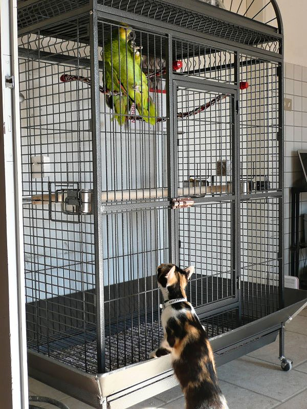 Klec pro ptáky - voliéra XXL - 12