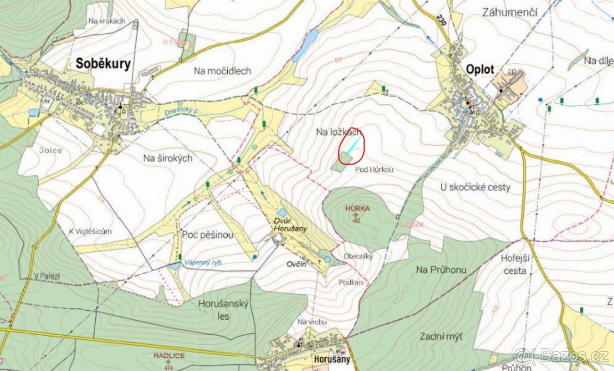 Prodám lesní pozemek v k.ú. Oplot - 12