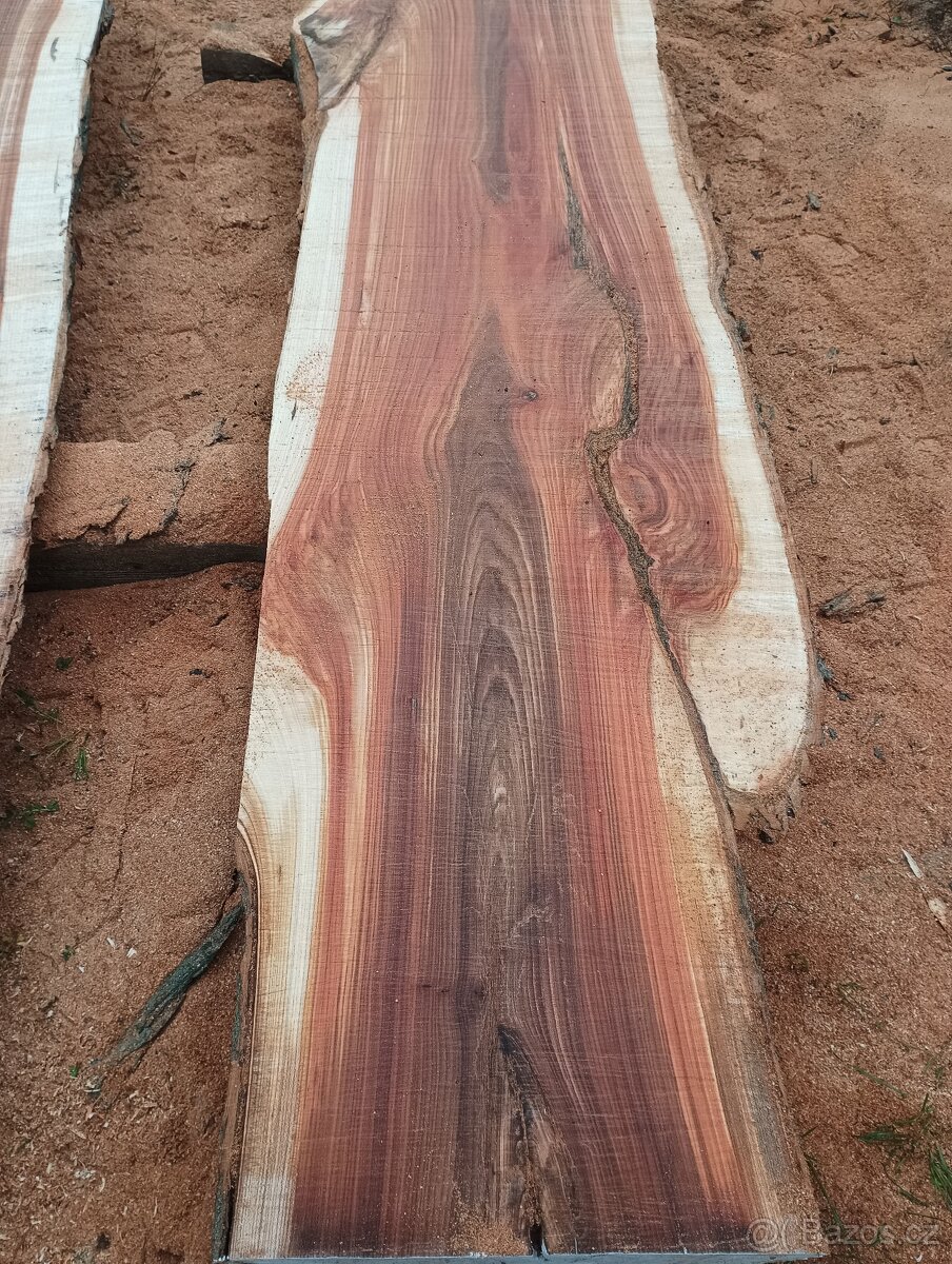 Fošny z červeného Jilmu - 12