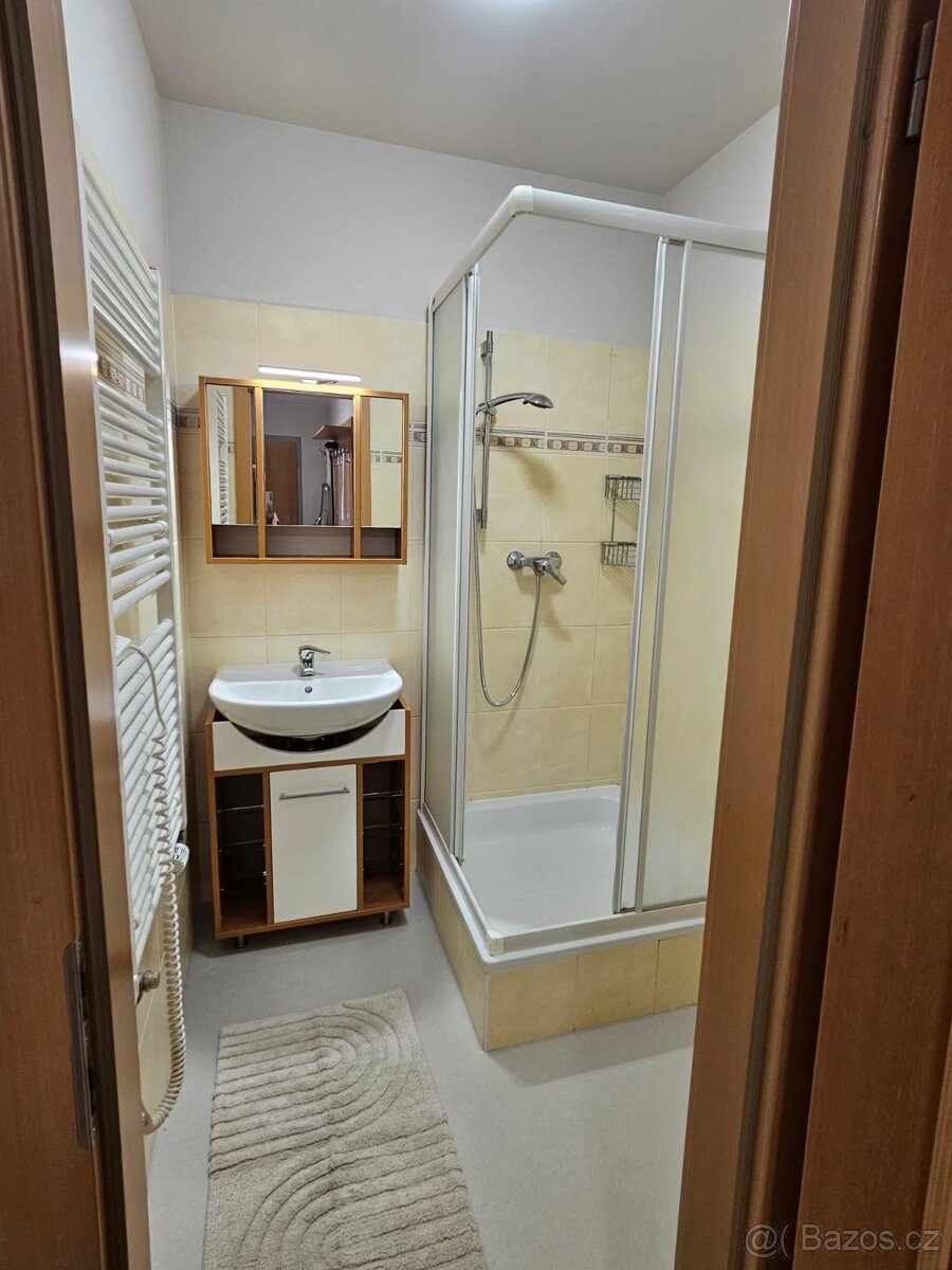 Prodej mezonetového apartmánu Horní Mísečky - 12