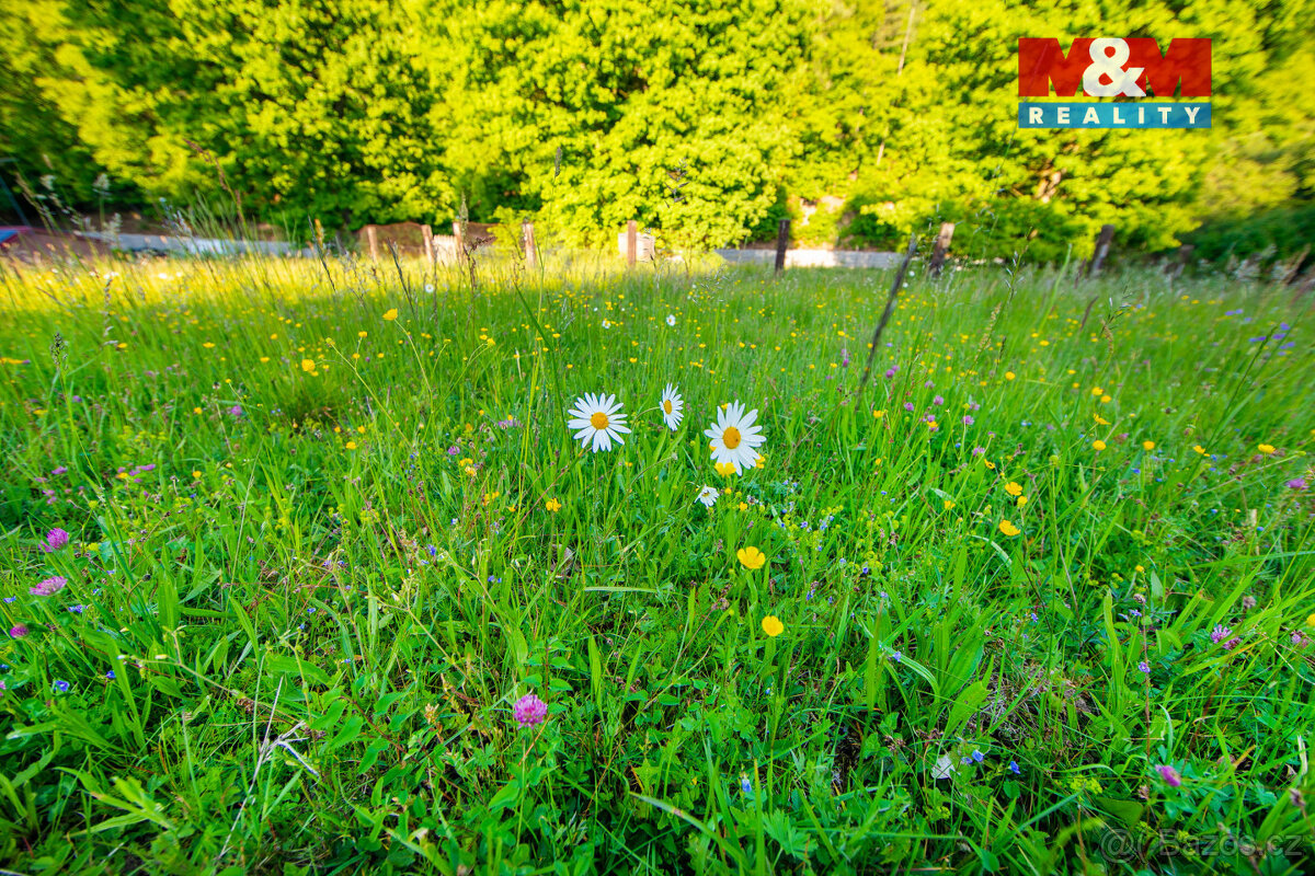 Prodej louky, 18692 m², Jílové u Prahy - 12