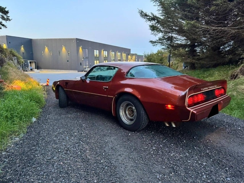 Pontiac Firebird Trans Am z roku 1980 - 12