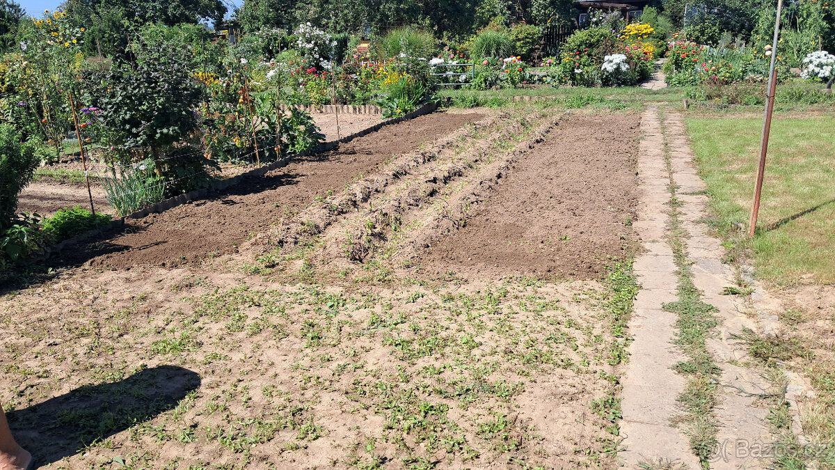 Prodej zahrádky - 12