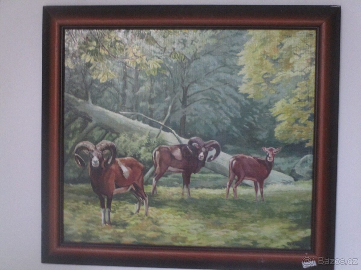 obrazy-olejomalba-kopie starýh mistrú-zátiší-koně atd. - 12