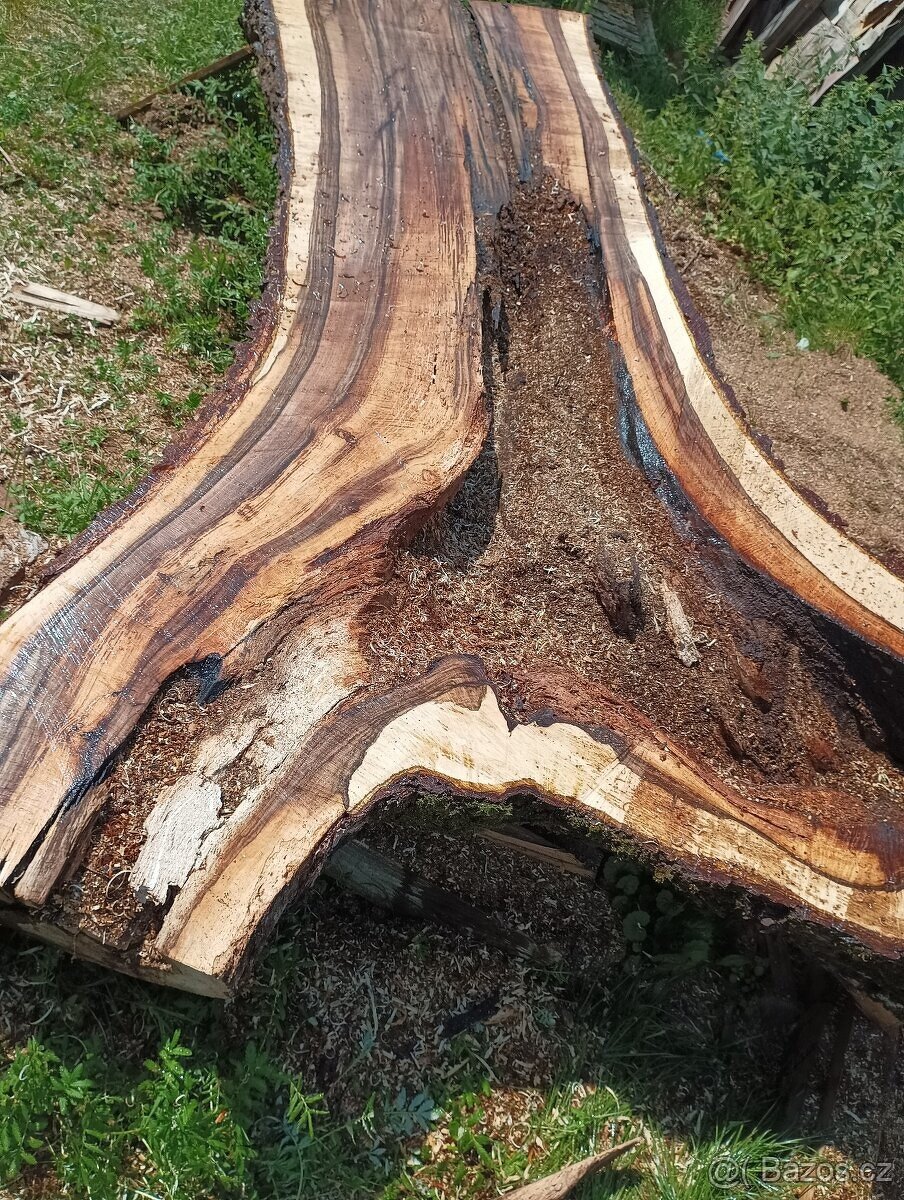 Ořechové fošny 85mm silné - 12