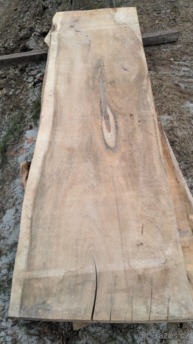 Jilmové suché fošny, sušeno 5,5 roku - 12