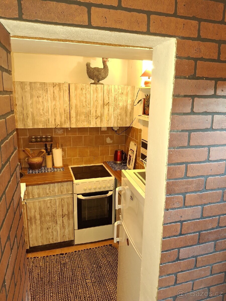 PRONAJMU KRÁSNÝ A SLUNNÝ ZAŘÍZENÝ BYT S VENKOVNÍM POSEZENÍM - 12