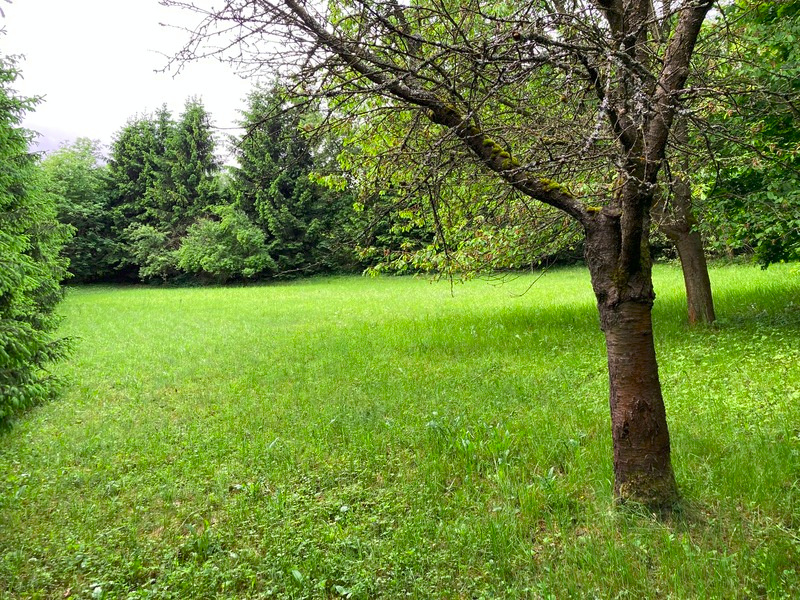 Prodej pozemku 650 m2 k výstavbě chaty v Sušici - 12