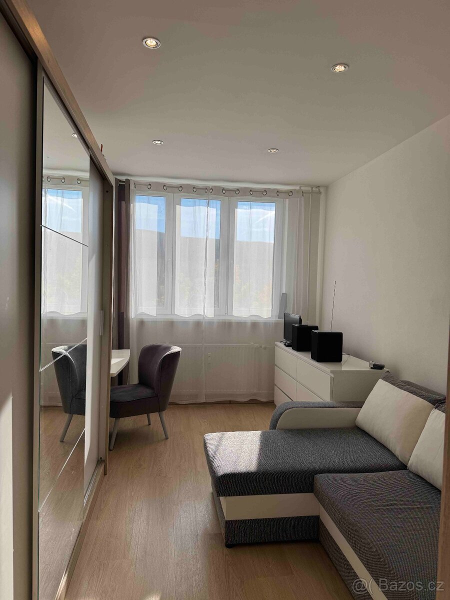 3+1 s balkonem - 12