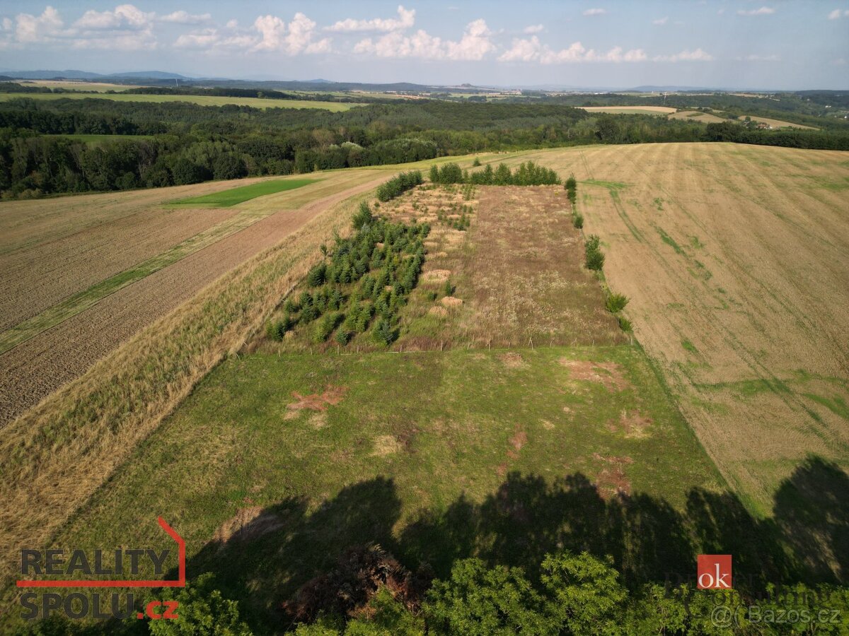 Prodej, pozemky/bydlení, 3000 m2, Lično , Bačalky, Jičín [ID - 12