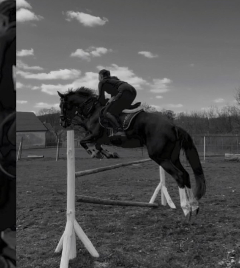 ČT kobyla 2012 - 12