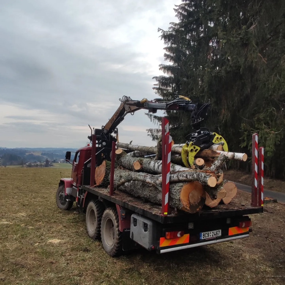 Praga V3S lesovůz, sklápěčka - 12