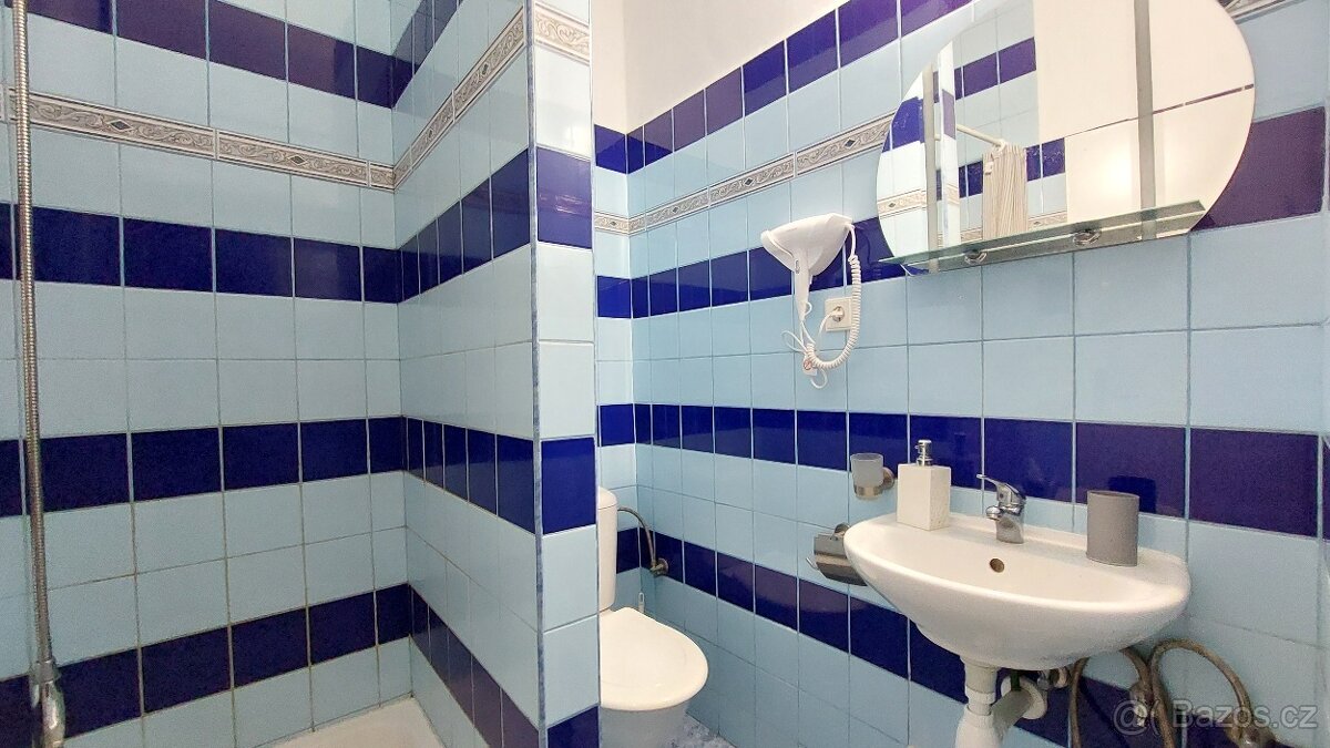 Dům s penziónem a obchodem na náměstí v Horní Plané - 12