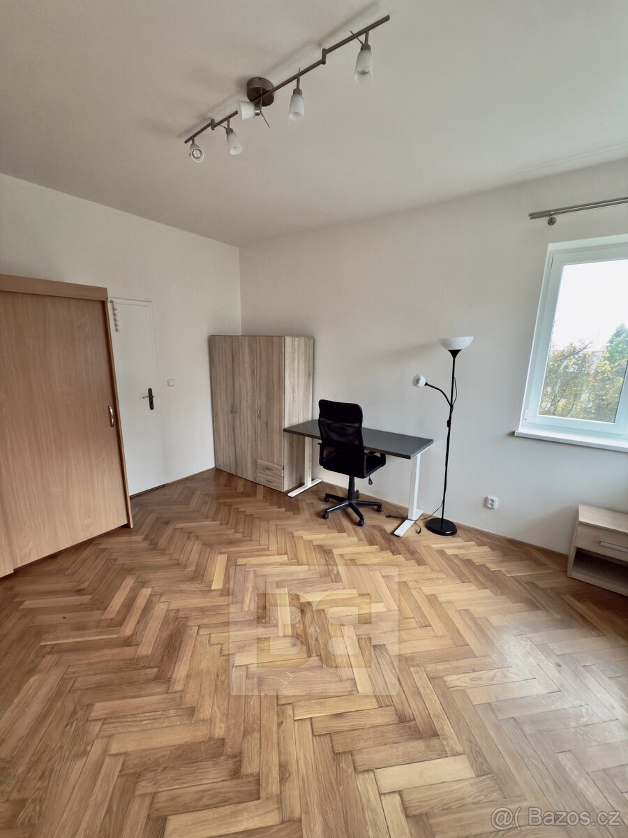 Pronájem bytu 3+1 120 m² se zahradou 300 m², Praha - Hluboče - 12