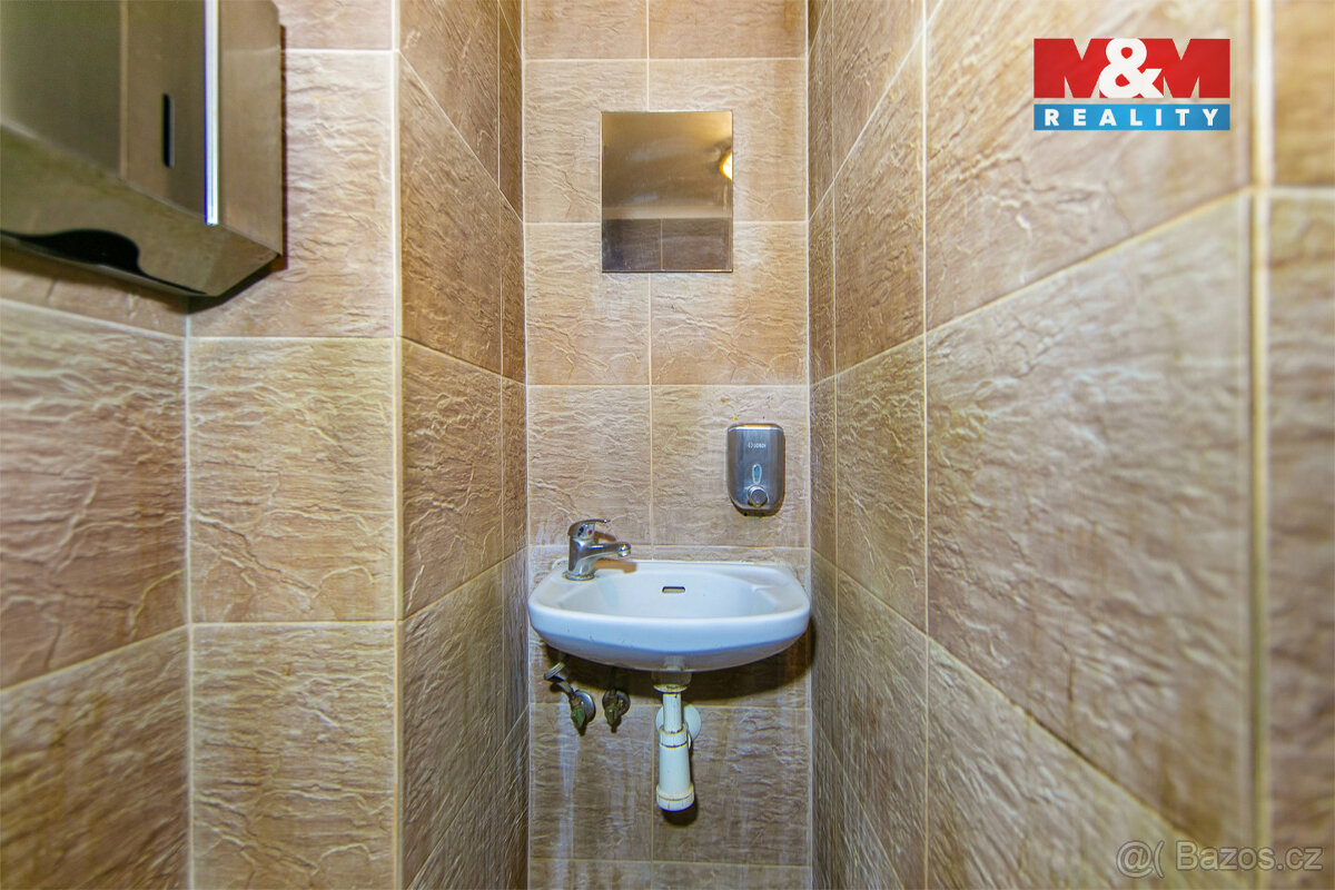 Pronájem, bar, 111 m² Plzeň, Klatovská třída - 12