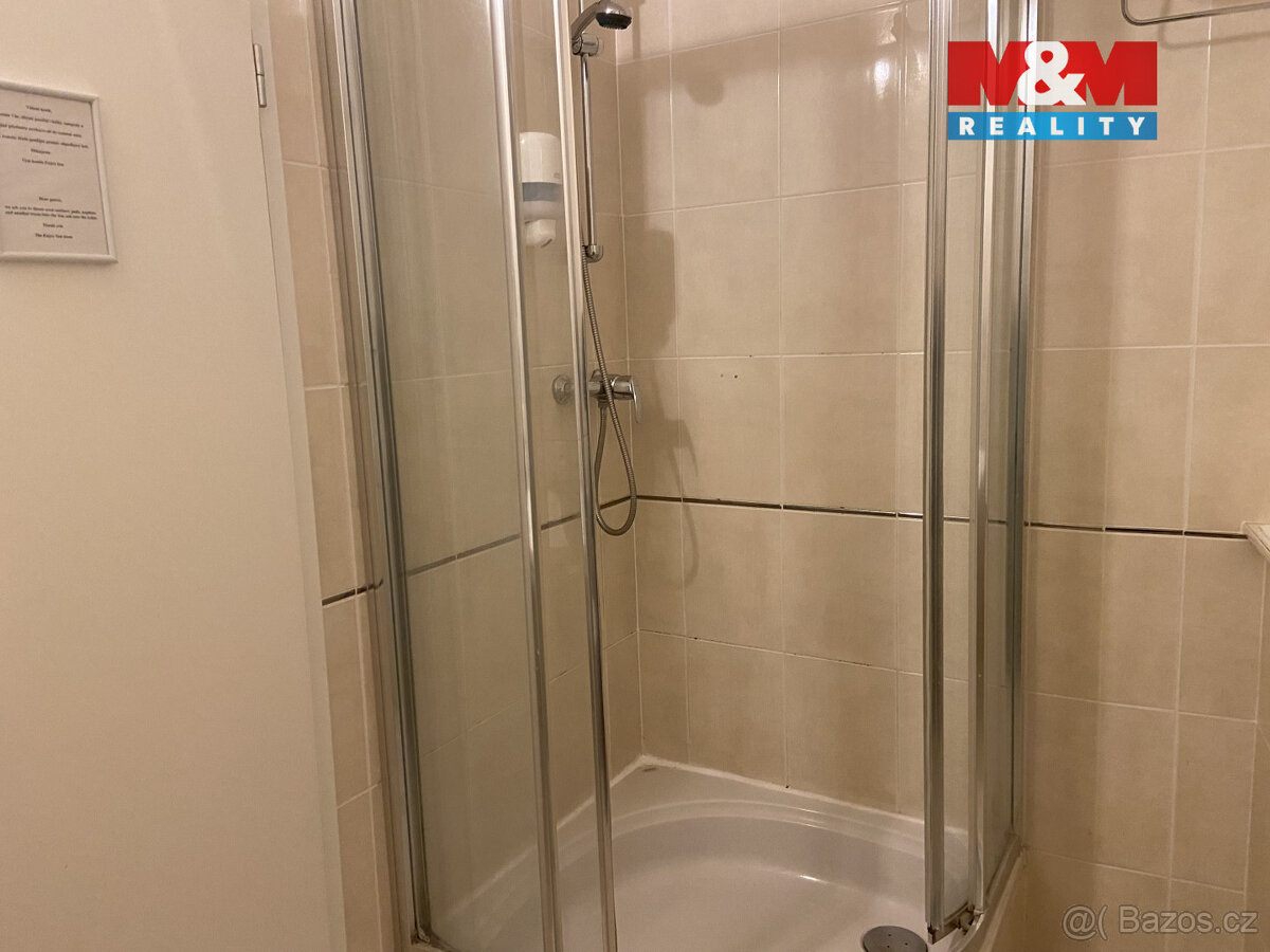 Pronájem apartmánu, 110 m², Plzeň, ul. Zbrojnická - 12