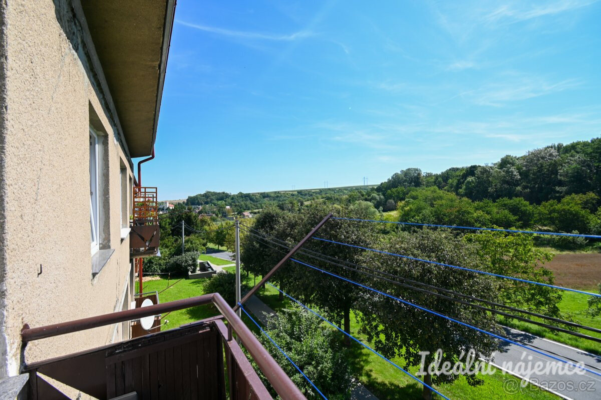 Prodej bytu 1+1 35 m² Nížkovice - 12