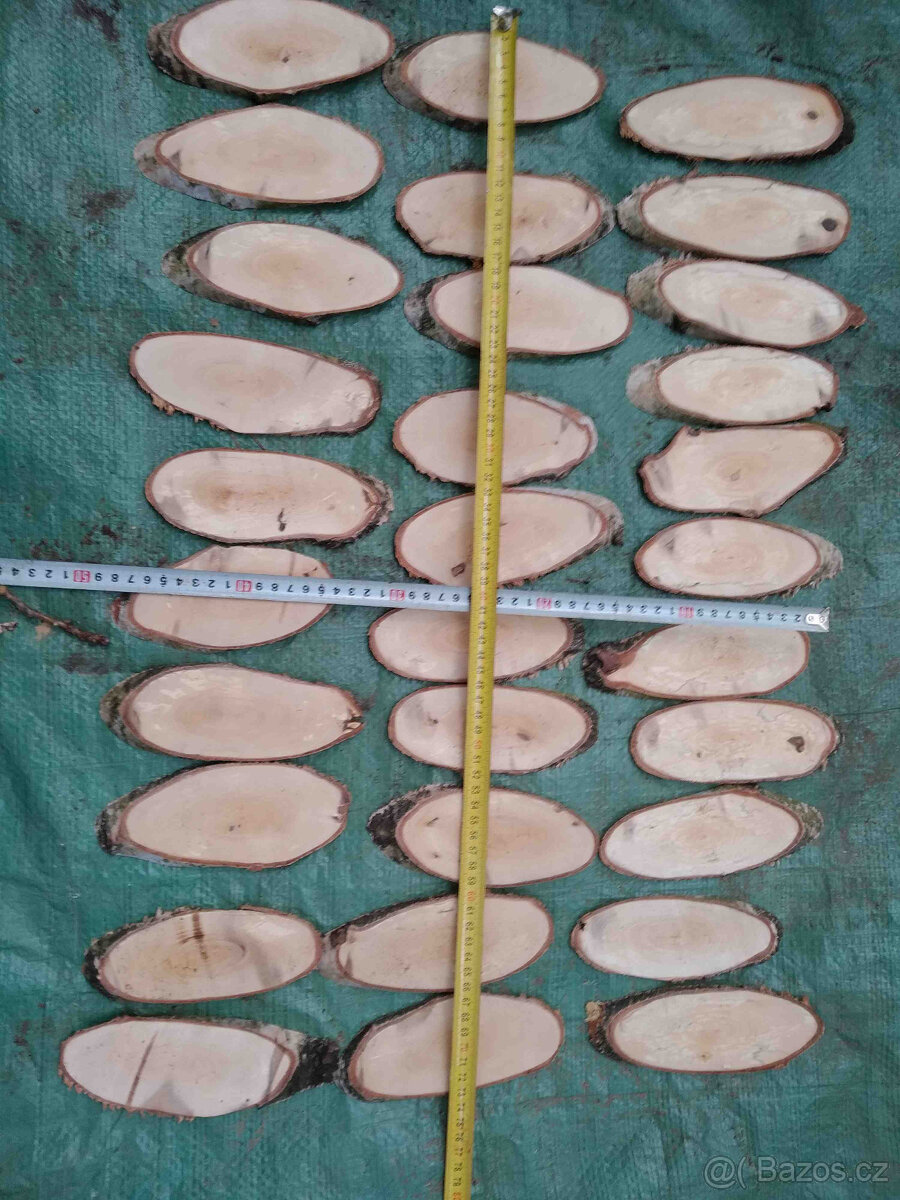 Placky bříza,kolečka a šikmé placky z břízy i jiného dřeva - 12