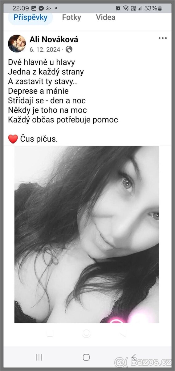 kočka Pardubice - 12