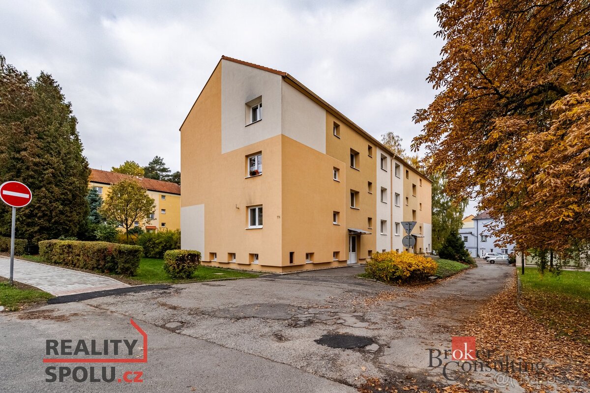 Prodej, byty/2+1, 58 m2, P. Bezruče 772, 39901 Milevsko, Pís - 12