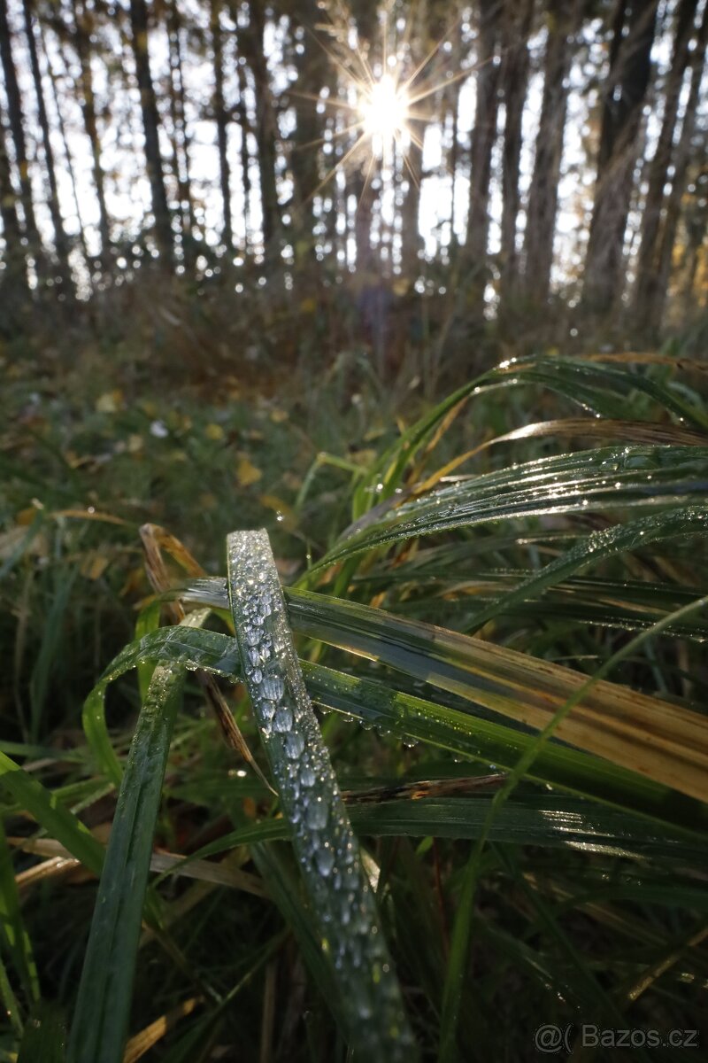 Canon RF 16 mm F2.8 STM - 12