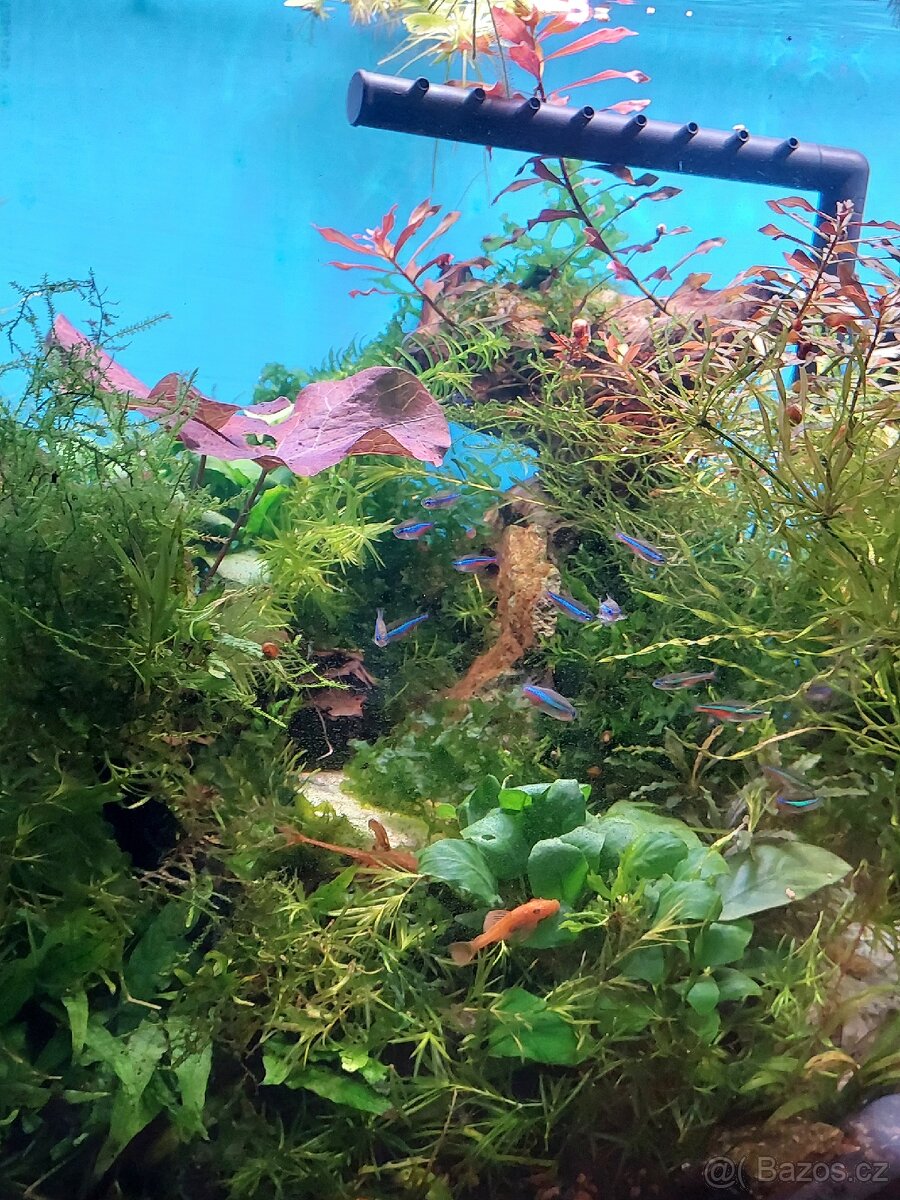 Akvárium i se stolkem - 12