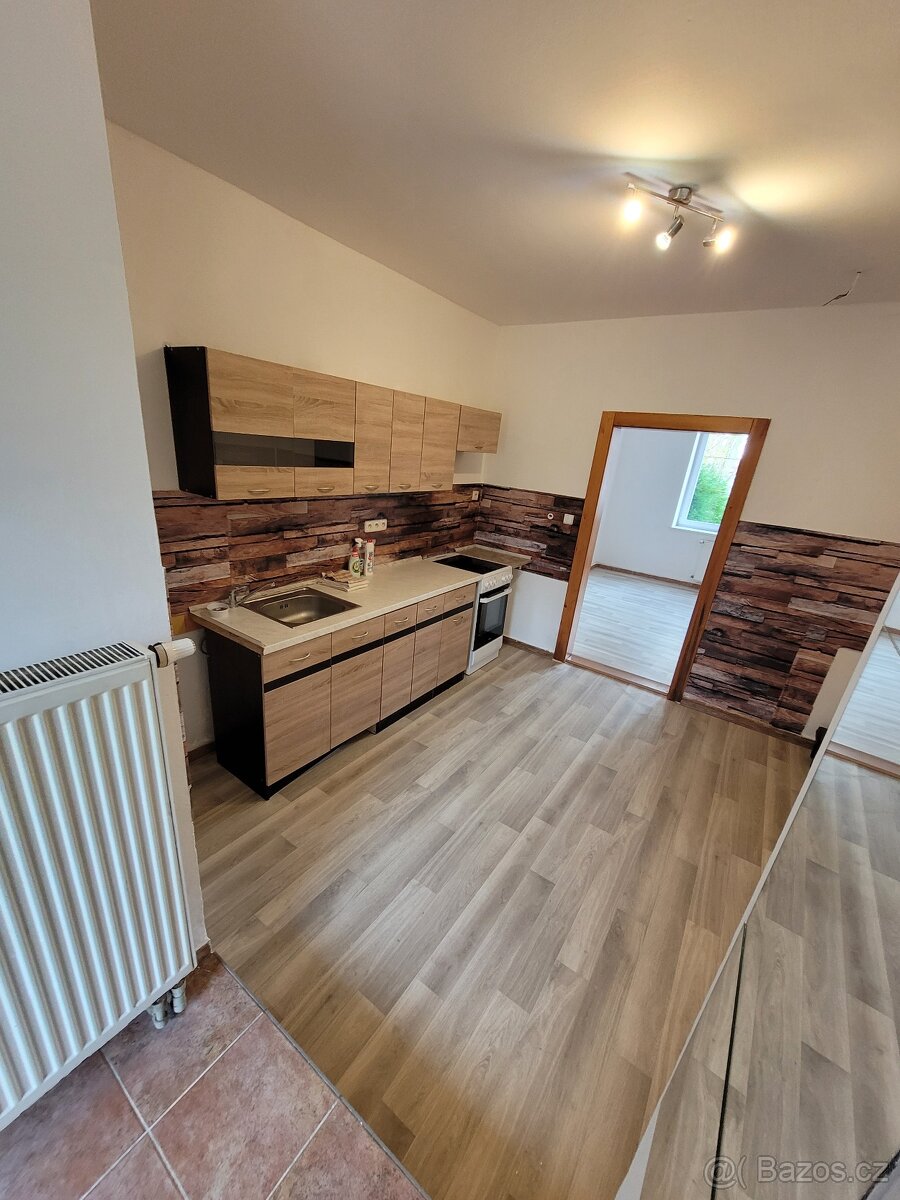 ¹Pronajmu byt 1+1 - 12