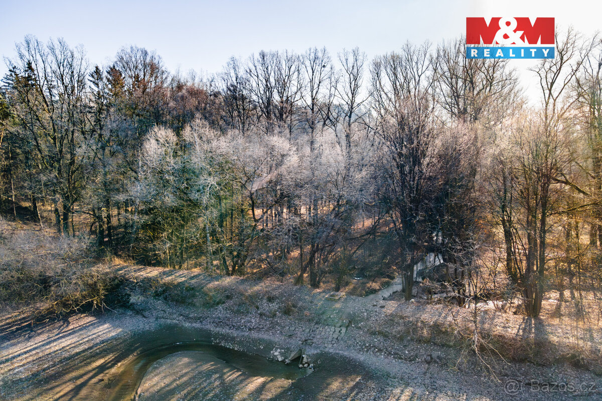 Prodej lesa, 685 m², Horšovský Týn - 12