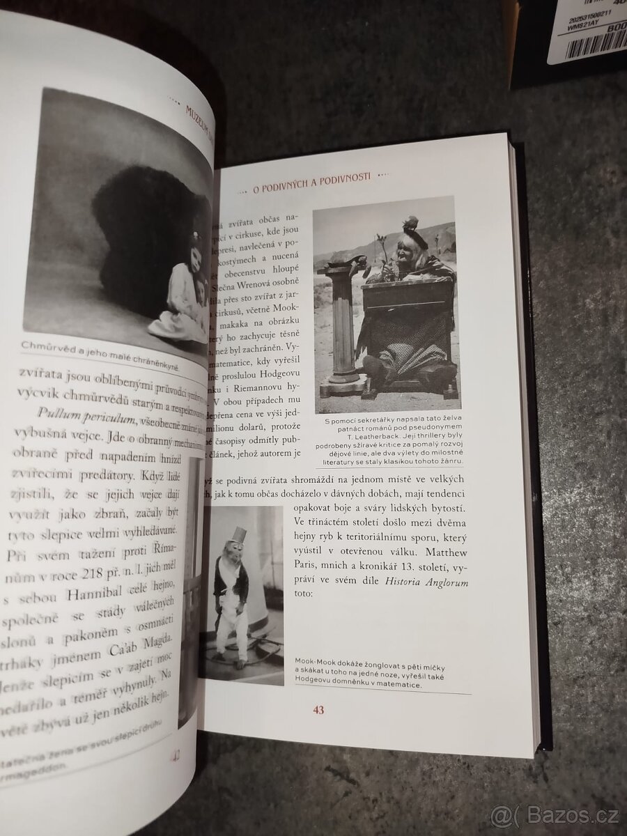 Muzeum divů - Ransom Riggs - 12