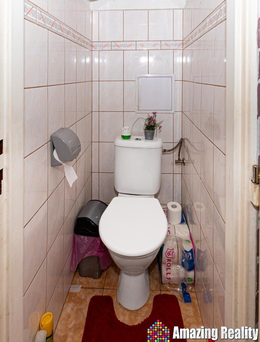 Prodej zděného bytu s plechovou garáží, v obci Mileč - 12