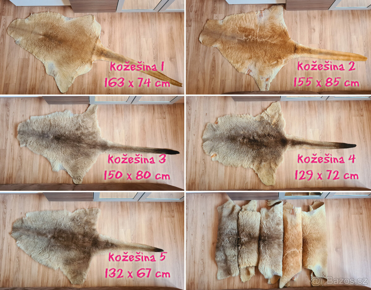 Pravá klokaní kožešina z Austrálie (5) - 12