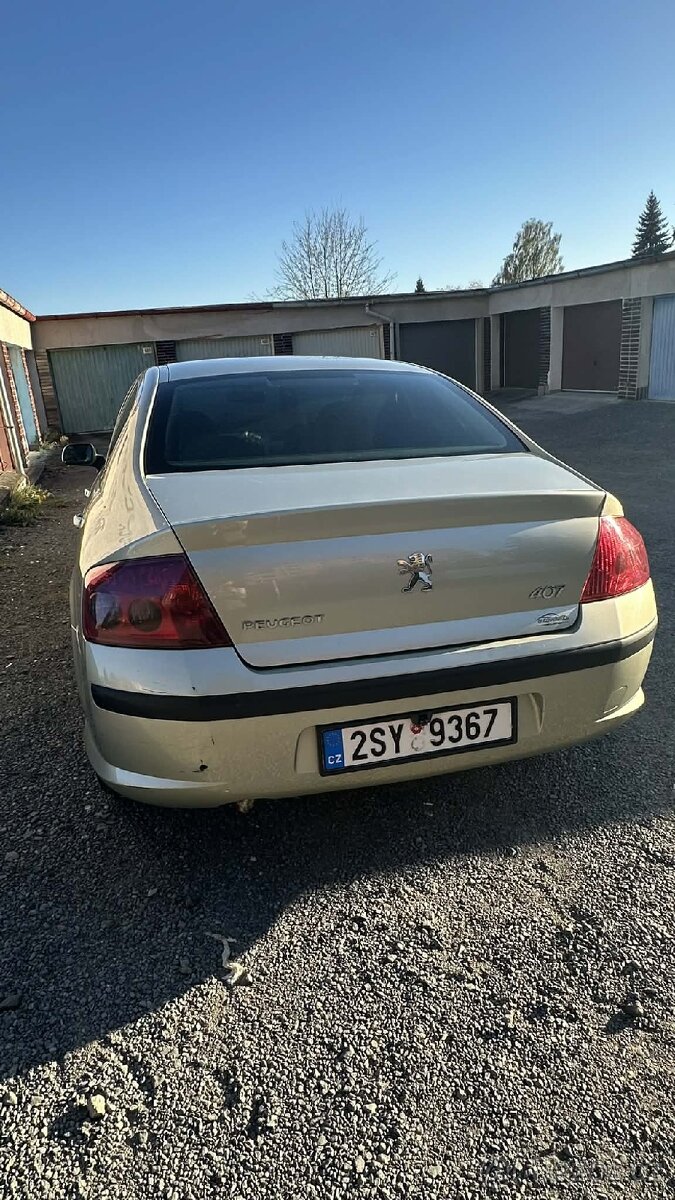 Peugeot 407 - 12